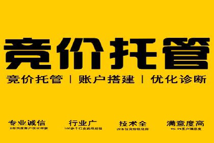 探索SEM竞价优化的新趋势：经典案例解读